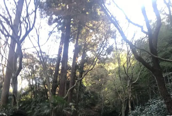 瑞泉寺の写真・動画_image_250386
