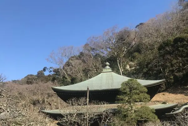 瑞泉寺の写真・動画_image_250401