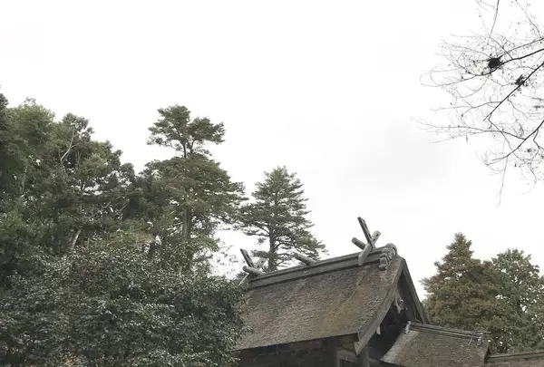 神魂神社の写真・動画_image_250554