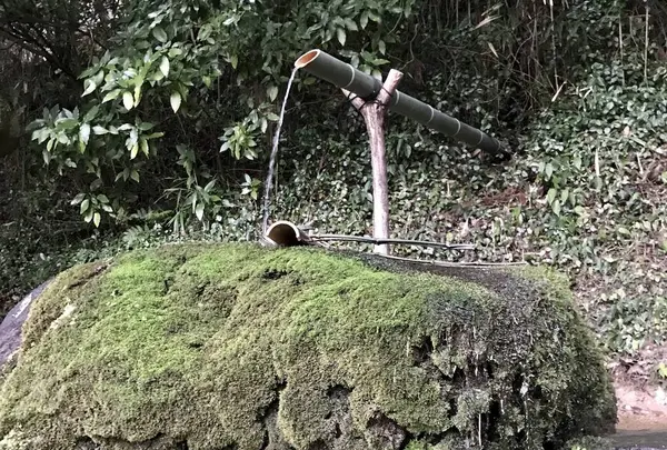 神魂神社の写真・動画_image_250556