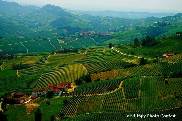 ピエモンテの写真・動画_image_251148