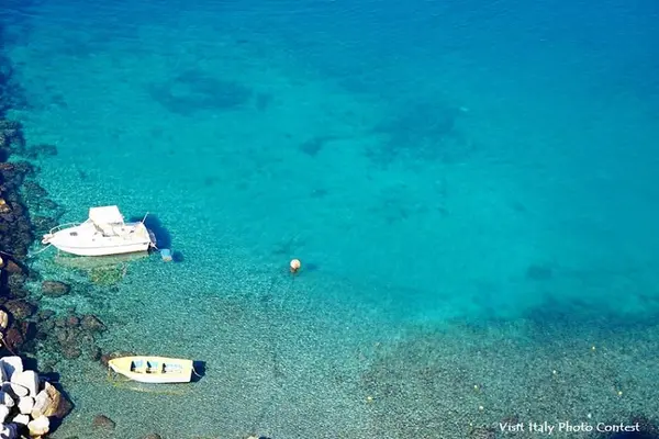 カンパニアの写真・動画_image_251169