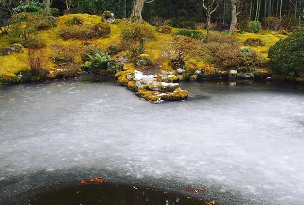 円通院の写真・動画_image_251272