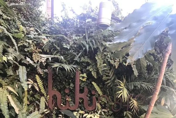 hiki cafe（ヒキカフェ）の写真・動画_image_251305