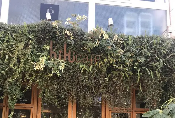 hiki cafe（ヒキカフェ）の写真・動画_image_251306