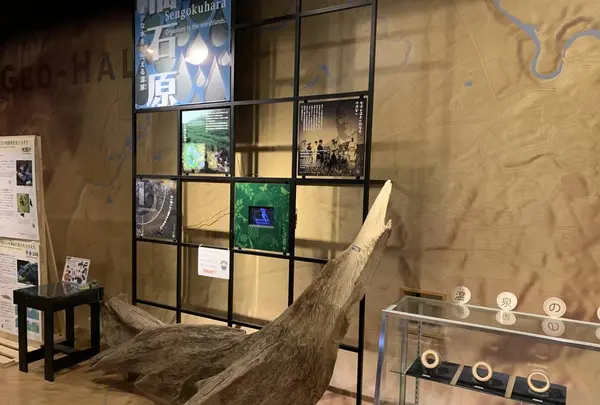 箱根町立 箱根ジオミュージアムの写真・動画_image_251587