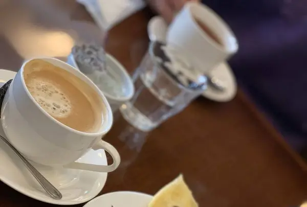 カワカフェの写真・動画_image_251612