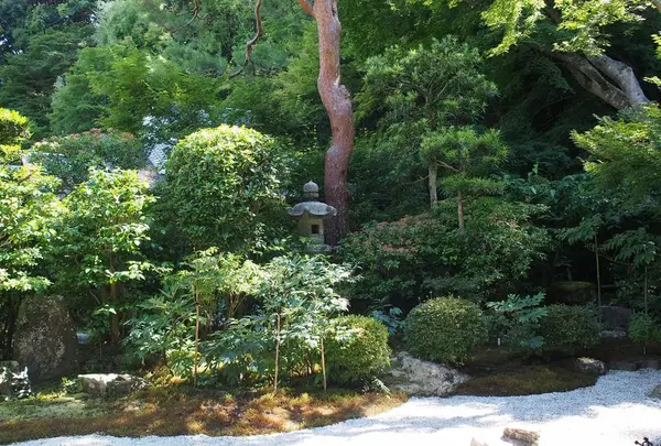 二尊院の写真・動画_image_251627