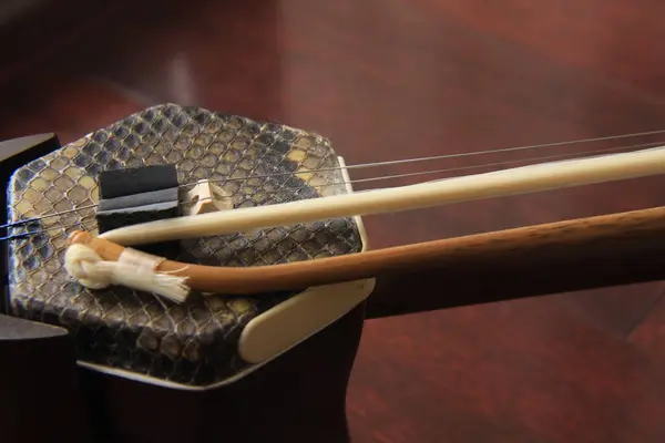 国営木曽三川公園・アクアワールド水郷パークセンターの写真・動画_image_251926