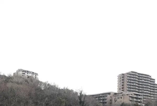 徳生公園の写真・動画_image_252234