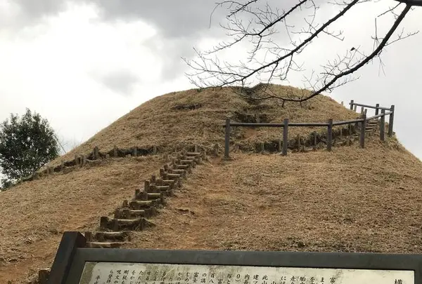 山田富士公園の写真・動画_image_252236