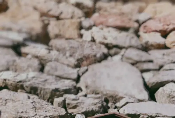 浜松城の写真・動画_image_252253