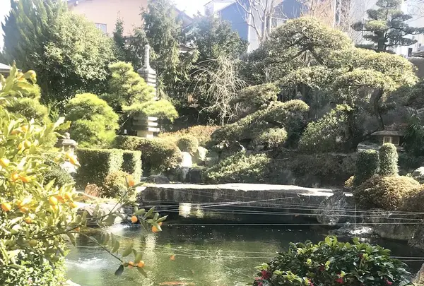 千薫庵の写真・動画_image_252405