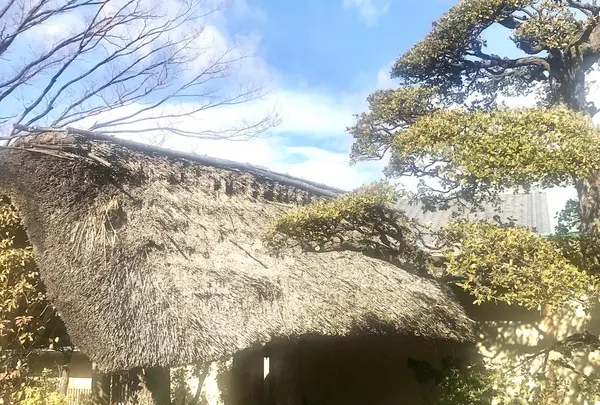 千薫庵の写真・動画_image_252406