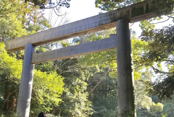 伊勢神宮の写真・動画_image_252598