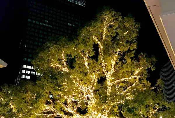 名古屋駅の写真・動画_image_252633