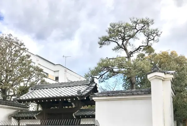 松阪駅の写真・動画_image_252652