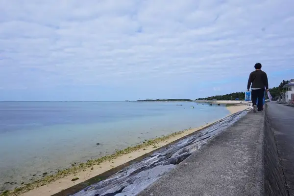 エメラルドビーチの写真・動画_image_252729