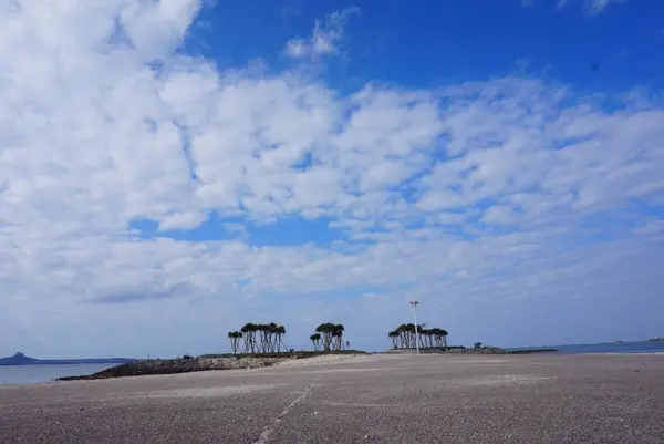 エメラルドビーチの写真・動画_image_252731