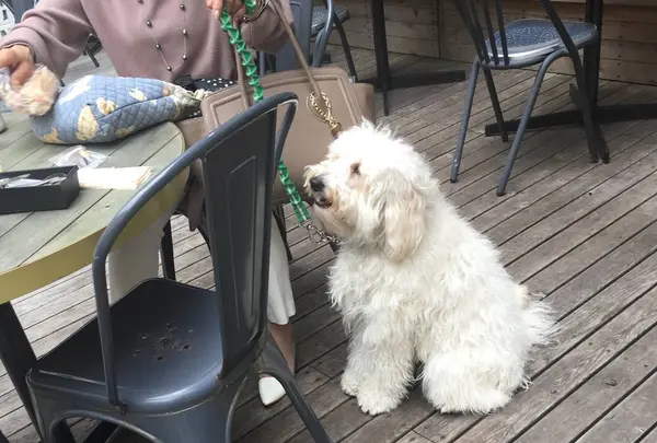 ESTINATE HOTELの写真・動画_image_252824