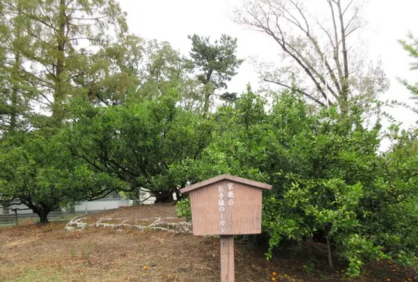 駿府城公園の写真・動画_image_252841
