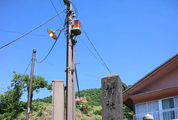 知井八幡神社の写真・動画_image_252871