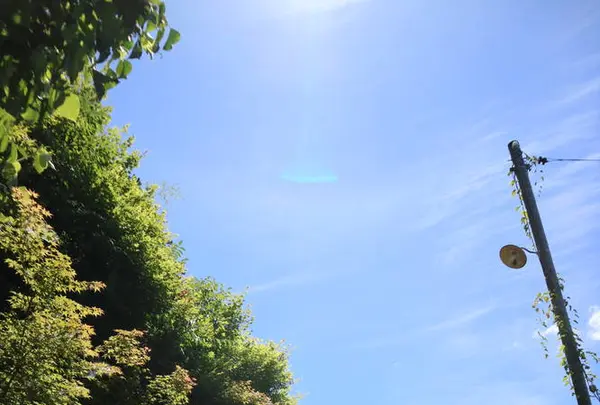 知井八幡神社の写真・動画_image_252872
