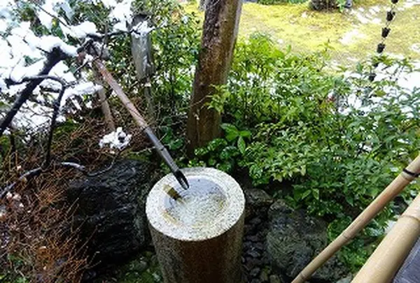 東林院の写真・動画_image_252896