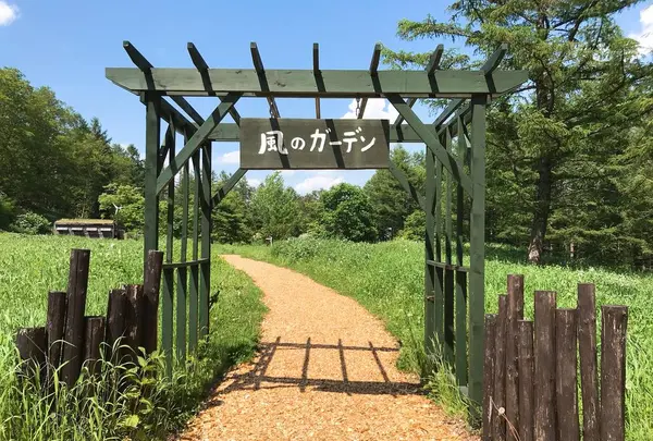 風のガーデンの写真・動画_image_252941