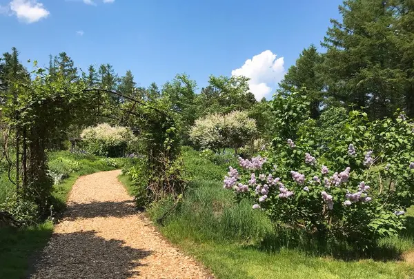 風のガーデンの写真・動画_image_252942