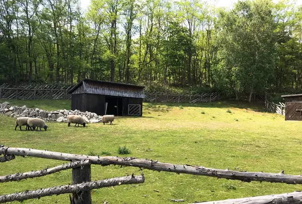 風のガーデンの写真・動画_image_252943