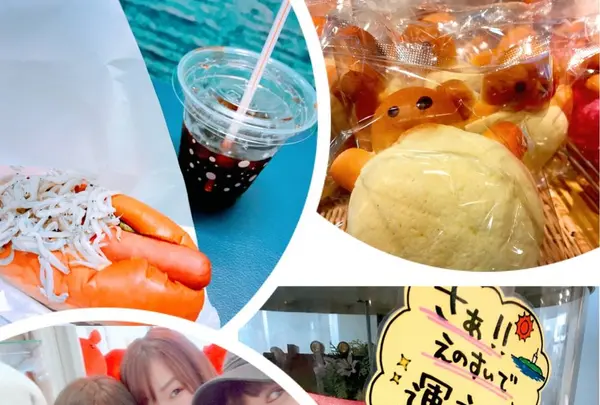 新江ノ島水族館の写真・動画_image_252990