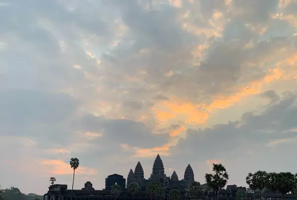 Angkor Wat（アンコール・ワット）の写真・動画_image_253113