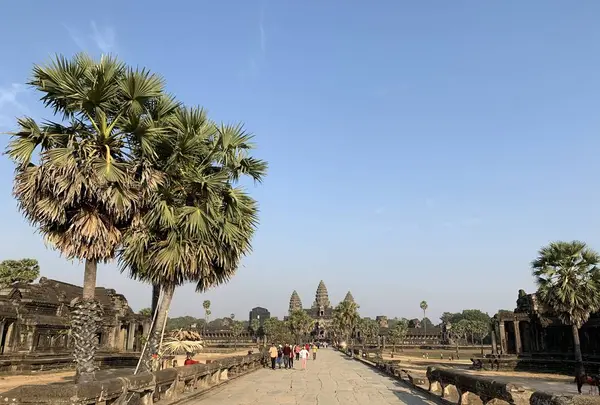 Angkor Wat（アンコール・ワット）の写真・動画_image_253233