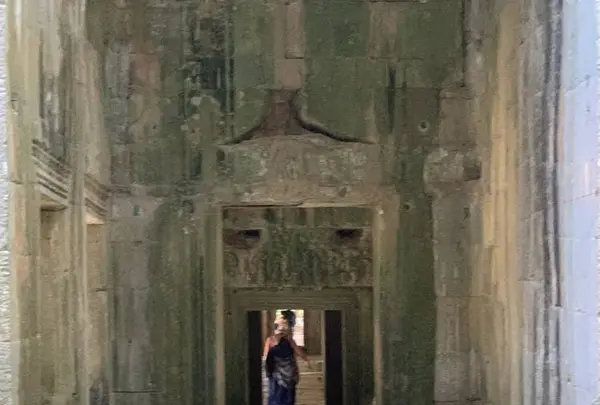 Ta Prohm（タ・プローム）の写真・動画_image_253238