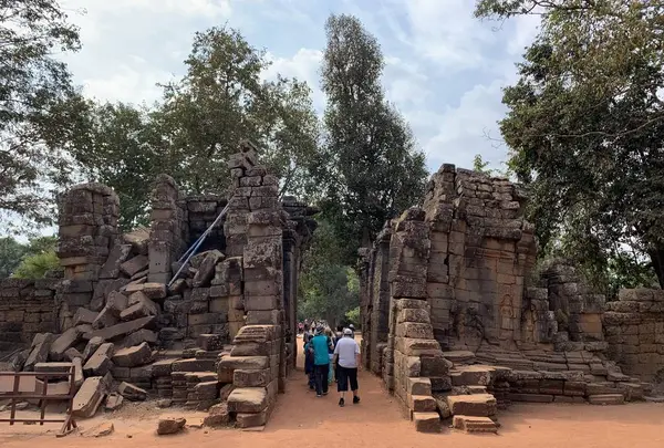 Ta Prohm（タ・プローム）の写真・動画_image_253242