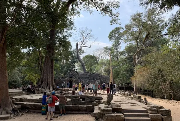 Ta Prohm（タ・プローム）の写真・動画_image_253244