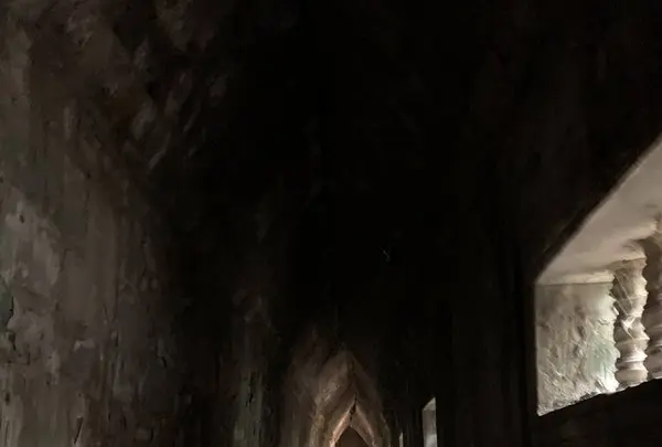 Beng Mealea（ベン・メリア）の写真・動画_image_253251