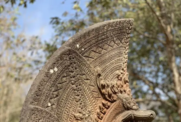 Beng Mealea（ベン・メリア）の写真・動画_image_253253