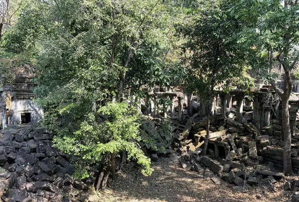 Beng Mealea（ベン・メリア）の写真・動画_image_253261