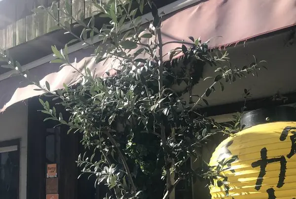ロダンの写真・動画_image_253620