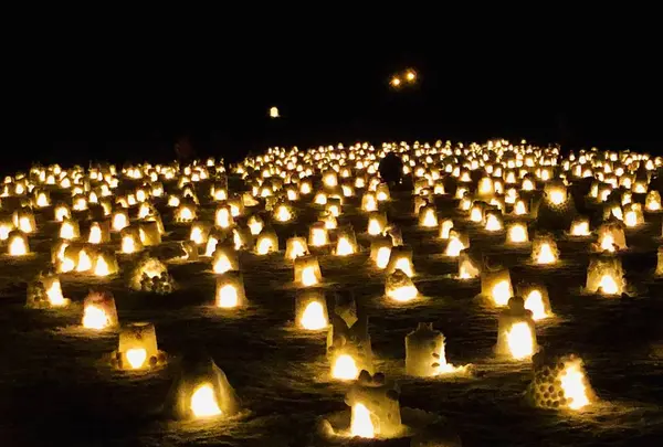 【閉業】白樺の丘の写真・動画_image_253669