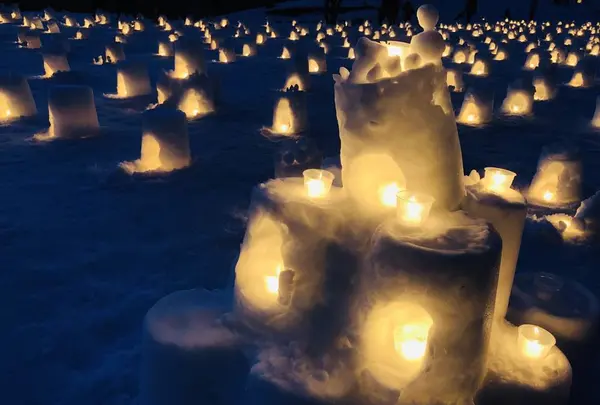 【閉業】白樺の丘の写真・動画_image_253670