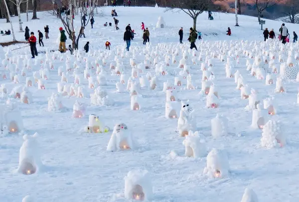 【閉業】白樺の丘の写真・動画_image_253671