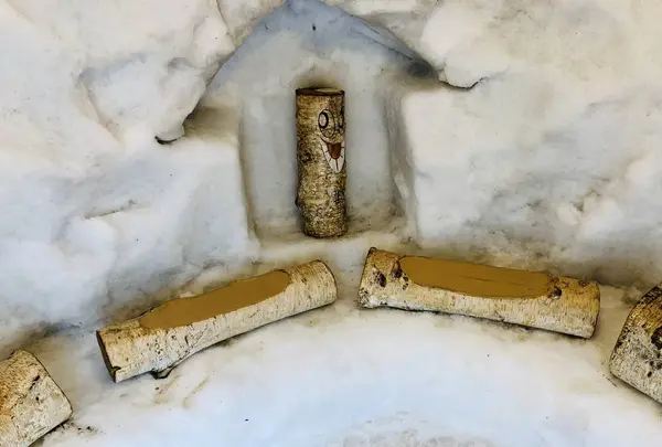 【閉業】白樺の丘の写真・動画_image_253672