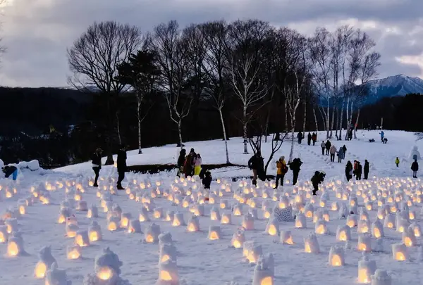 【閉業】白樺の丘の写真・動画_image_253675