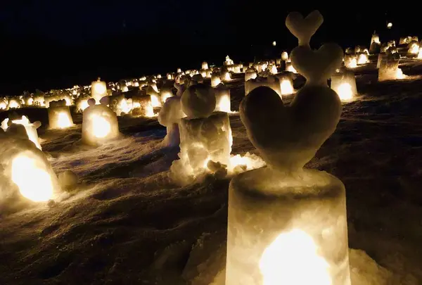 【閉業】白樺の丘の写真・動画_image_253676