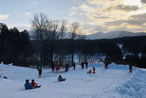 【閉業】白樺の丘の写真・動画_image_253677