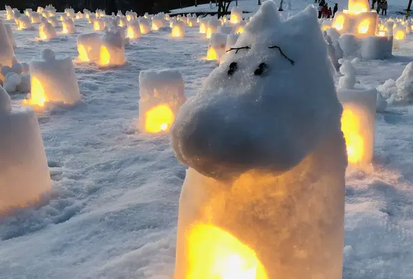 【閉業】白樺の丘の写真・動画_image_253679