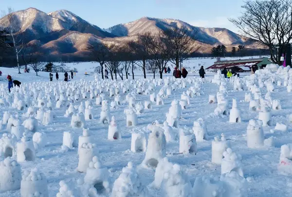 【閉業】白樺の丘の写真・動画_image_253681